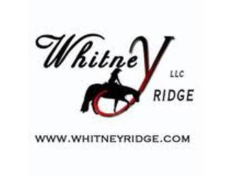 Riding Lessons at Whitney Ridge in Higganum, CT