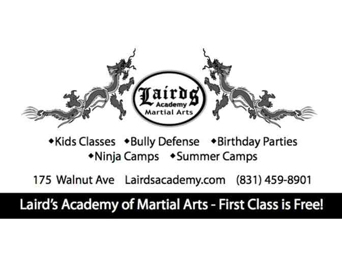 Kid's Ninja Party for 10 at Laird's Academy of Martial Arts