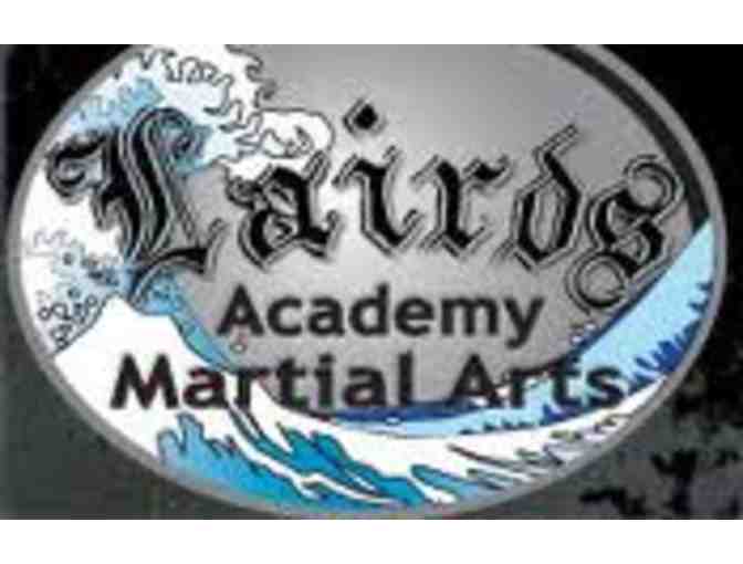 Kid's Ninja Party for 10 at Laird's Academy of Martial Arts