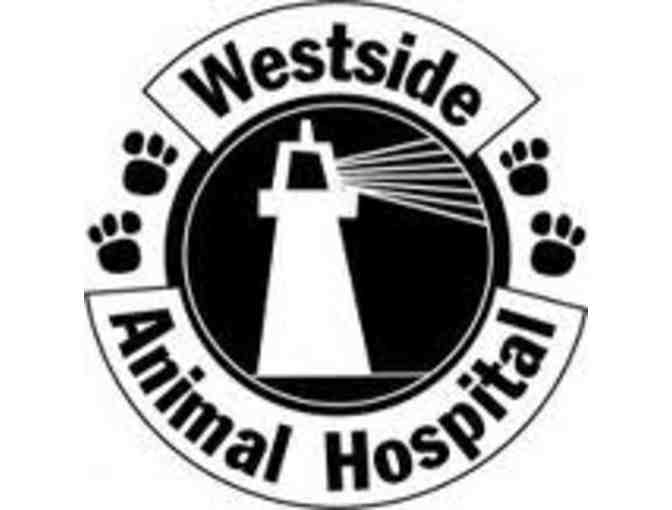 Doggy Gift Basket and Free Exam at Westside Animal Hospital