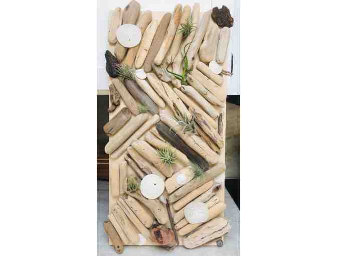 Class Art- Driftwood Air Plant Panels #1 (2rd/3rd Grade, Mrs. Hapner/Mrs. Vallance)