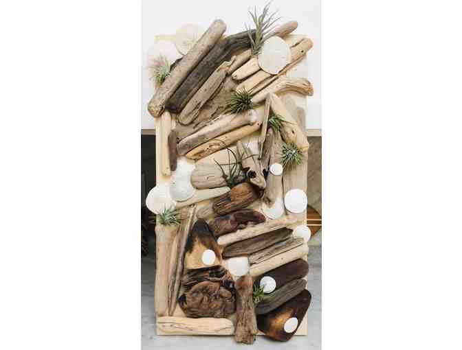 Class Art- Driftwood Air Plant Panels #1 (2rd/3rd Grade, Mrs. Hapner/Mrs. Vallance)