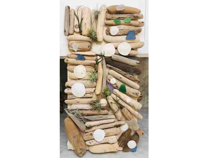 Class Art- Driftwood Air Plant Panels #2 (2rd/3rd Grade, Mrs. Hapner/Mrs. Vallance)