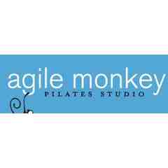 Agile Monkey