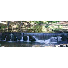 The Cottages at La Honda Park