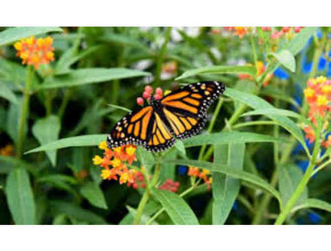 Wining, Dining and Parks in Niagara!