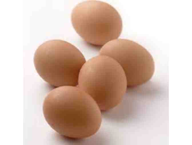 1 Dozen Fresh, Urban Eggs Laid by School Garden Chickens