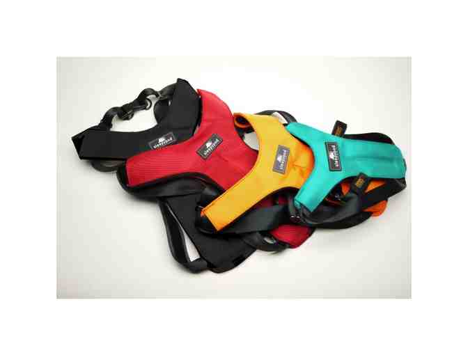 Dog Harness - Sleepypod 3 Point Safety Click It - Orange Dream in Large