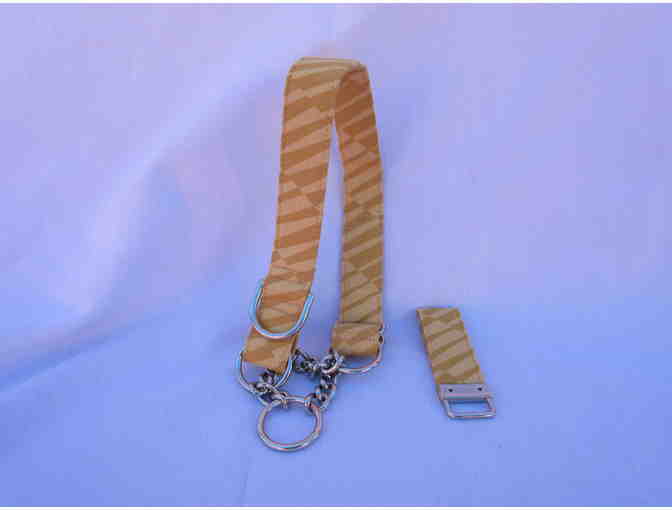 Dog Collar- Martingale Collar Size M - Yellow Stripe