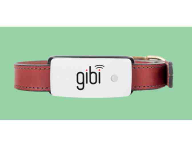 Gibi - The Pet GPS Tracking Service