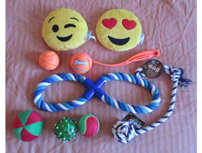 Dog Toys and Balls