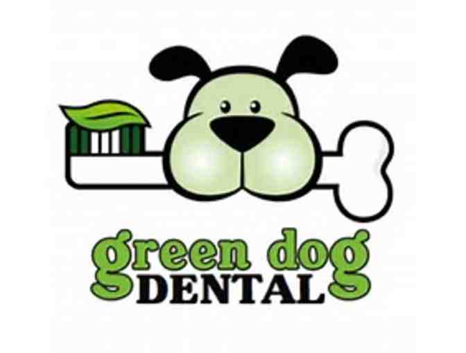 Green Dog Dental & Wellness Dental Cleaning
