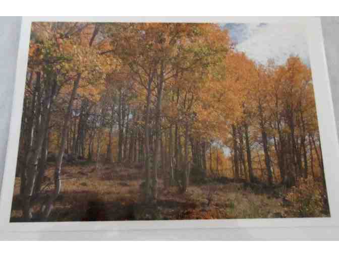 Benson Ricks Photography Notecards - Package of Six