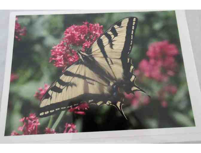Benson Ricks Photography Notecards - Package of Six