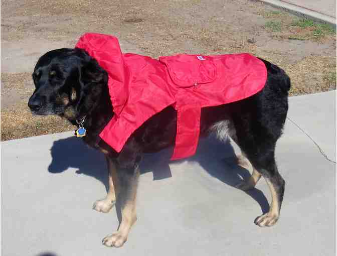 Kong Raincoat for Dogs