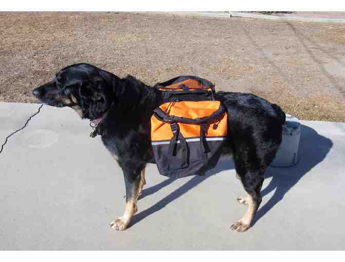 Dog Saddle Backpack - Gently Used