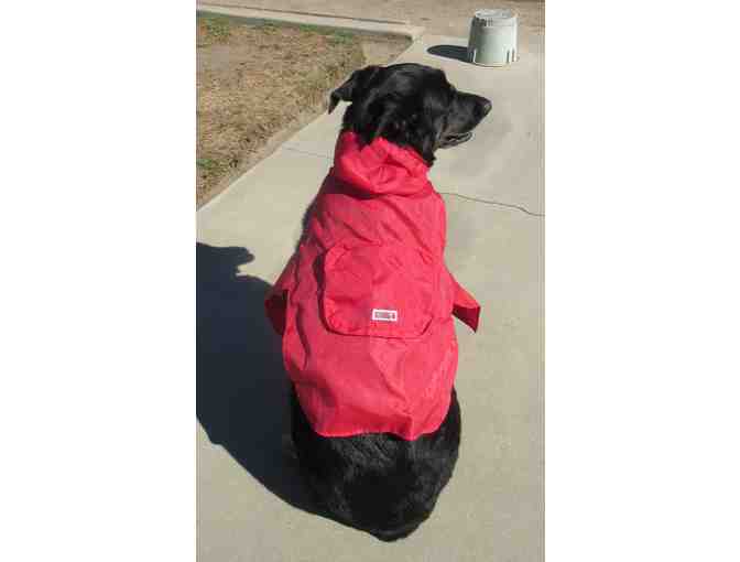 Kong Raincoat for Dogs