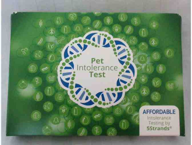 Intolerance Test For Dogs from 5 Strands