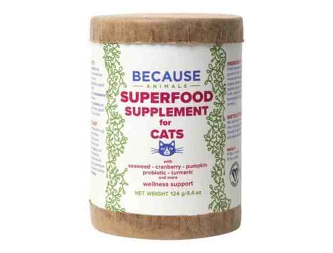 Because Animals SUPERFOOD Supplement for Cats - 3 Containers - Photo 1