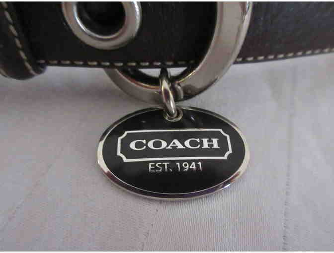 Faux Coach Leather Dog Collar