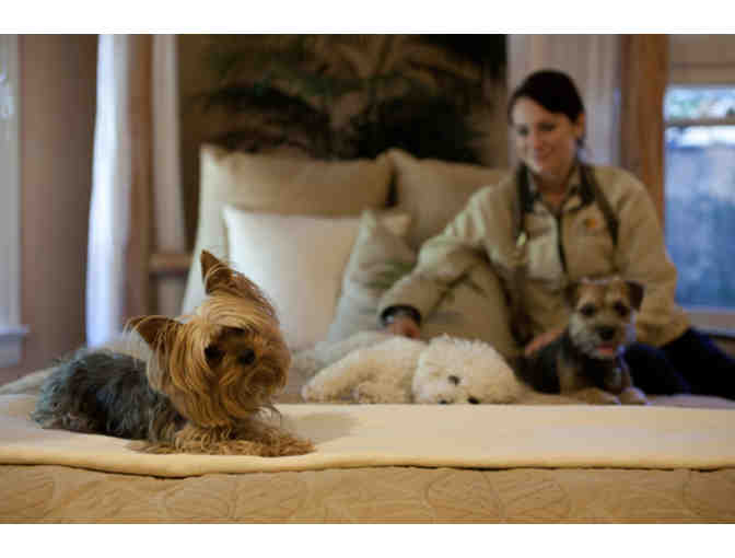 Paradise Ranch Pet Resort Gift Certificate - One Week of Overnight Dog Boarding