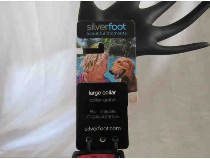 Silverfoot Large Dog Collar and Treats