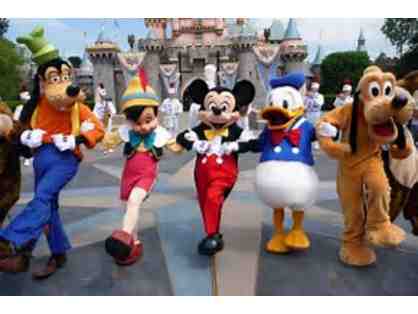 Disneyland/California Adventure 1-Day Park Hopper Tickets - Two Tickets
