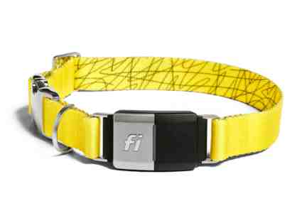Fi Smart GPS Dog Collar with 1 year Subscription