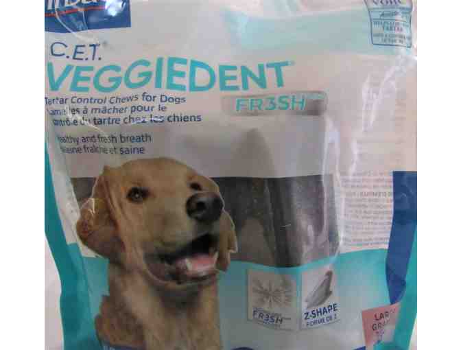 Doggy Fun with Dental Goodies