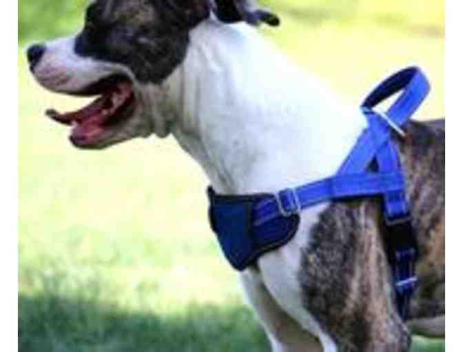 Max and Neo Dog Gear - XLarge Passport Harness