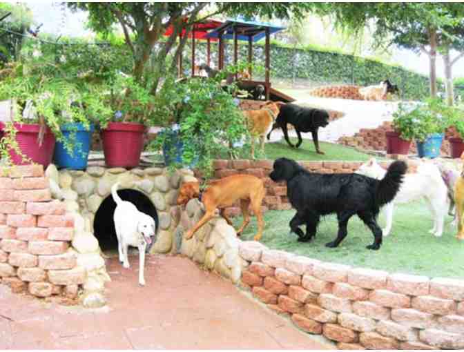 Five Day Vacation for your Dog at Canyon View Ranch