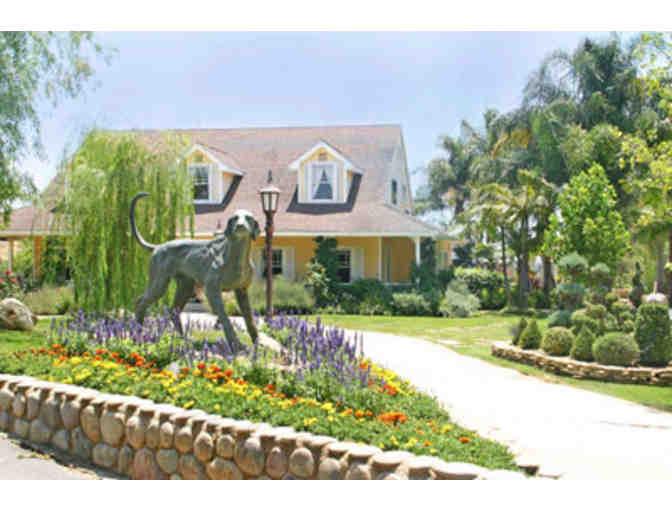 Five Day Vacation for your Dog at Canyon View Ranch