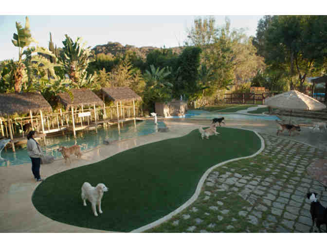 Paradise Ranch Pet Resort Gift Certificate - 4 Nights Boarding + 3 Daycare and a Bath