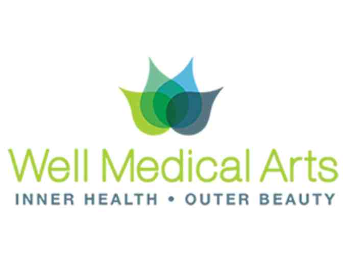 One Cycle of Cool Sculpting from Well Medical Arts