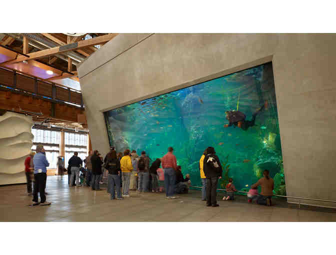 Two Tickets to Seattle Aquarium