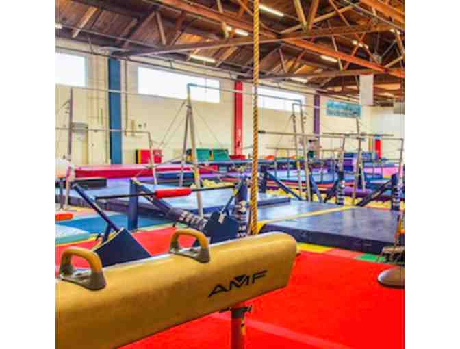 Seattle Gymnastics Academy Indoor Playground Punchcard
