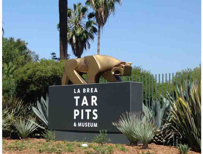 Page Museum or Natural History Museum of Los Angeles County - Four Guest Admission Passes