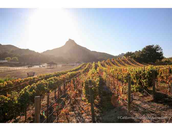 Malibu Wine Hikes/Tours - Gift Certificate ($98) - Photo 1