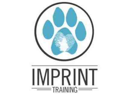 Imprint Dog Training - 5 Sessions w/Expert Dog Trainer