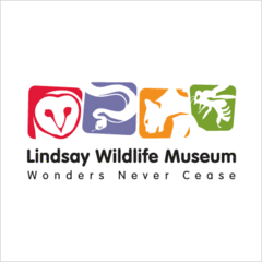 Lindsay Wildlife Museum