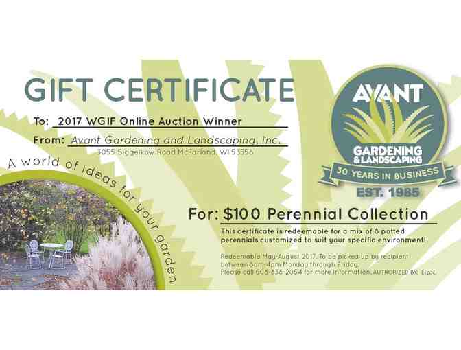 $100 Perennial Collection