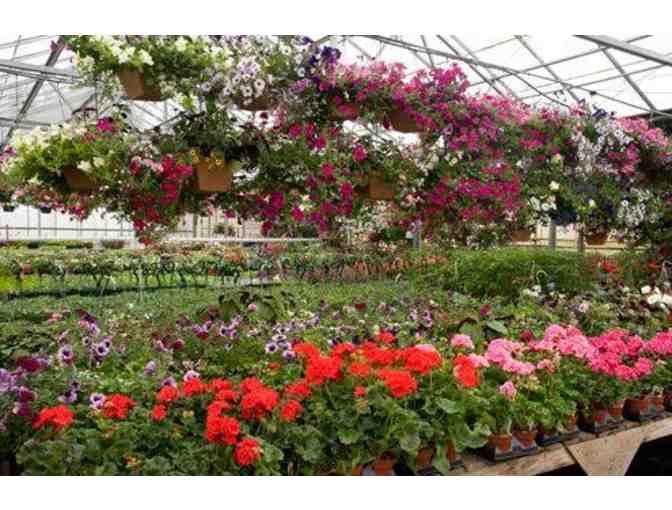 $50 Waukesha Floral & Greenhouse Gift Card