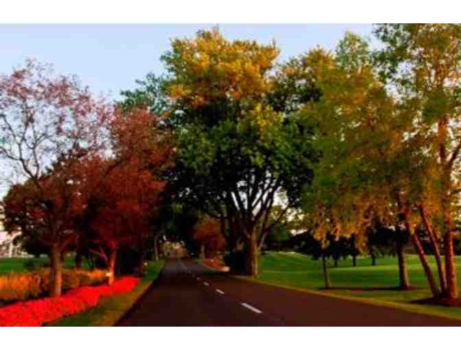 Delavan - Hit the links at Lake Lawn Resort on our Stay & Play Package For Two