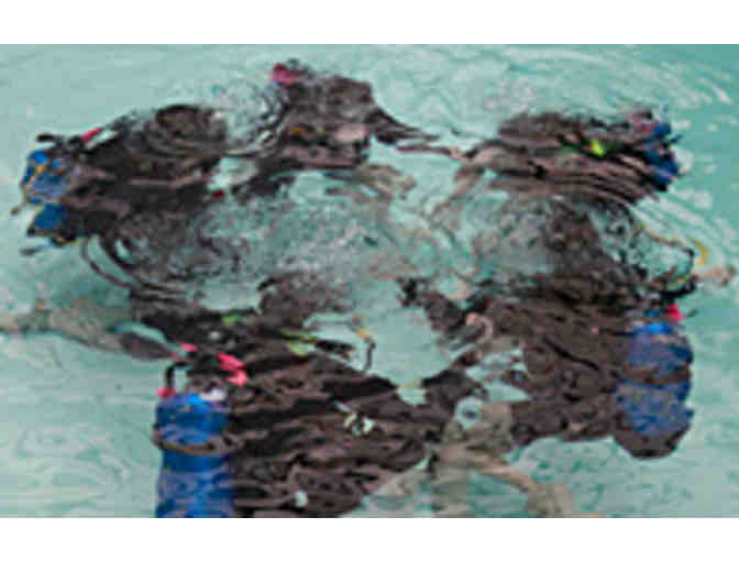 Pan Aqua Diving - 'Discover Scuba' Class for 2
