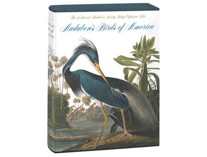 Audubon's Birds of America