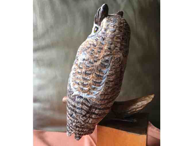 Great Horned Owl woodcarving
