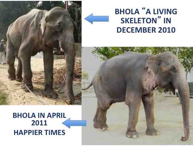 Naming Rights to Bhola's Abode