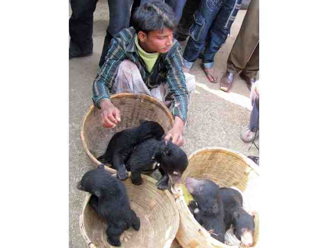 Support our anti-poaching team for day