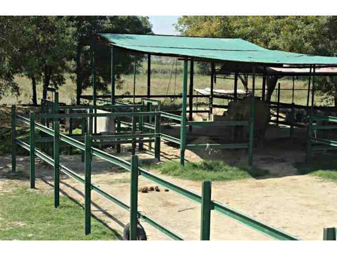 Naming Rights to Bhola's Abode