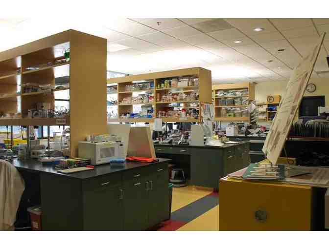 2 hour behind the scenes tour of San Diego Zoo Institute for Conservation Research.